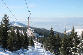 Sunčani breg
